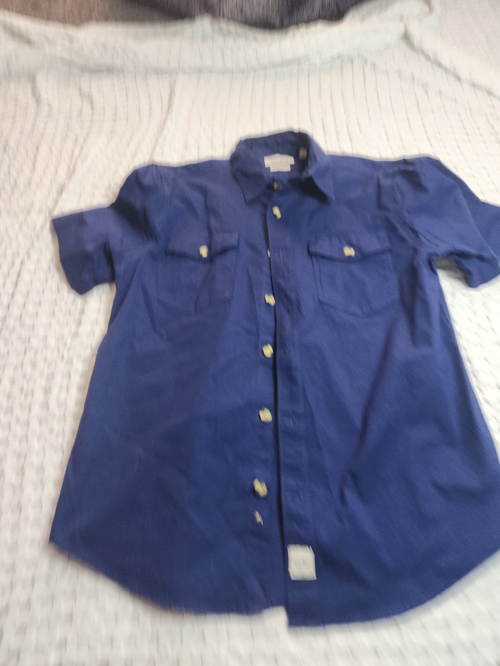 Eddie Bauer Short-Sleeve Button-Down Shirt in Royal Blue